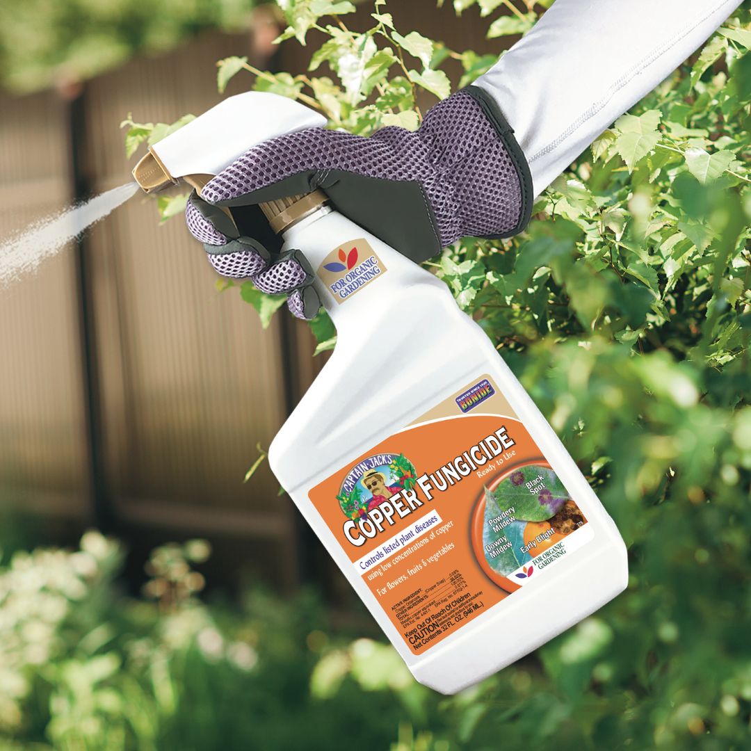 Captain Jack’s Liquid Copper Fungicide – Bonide – 32 oz